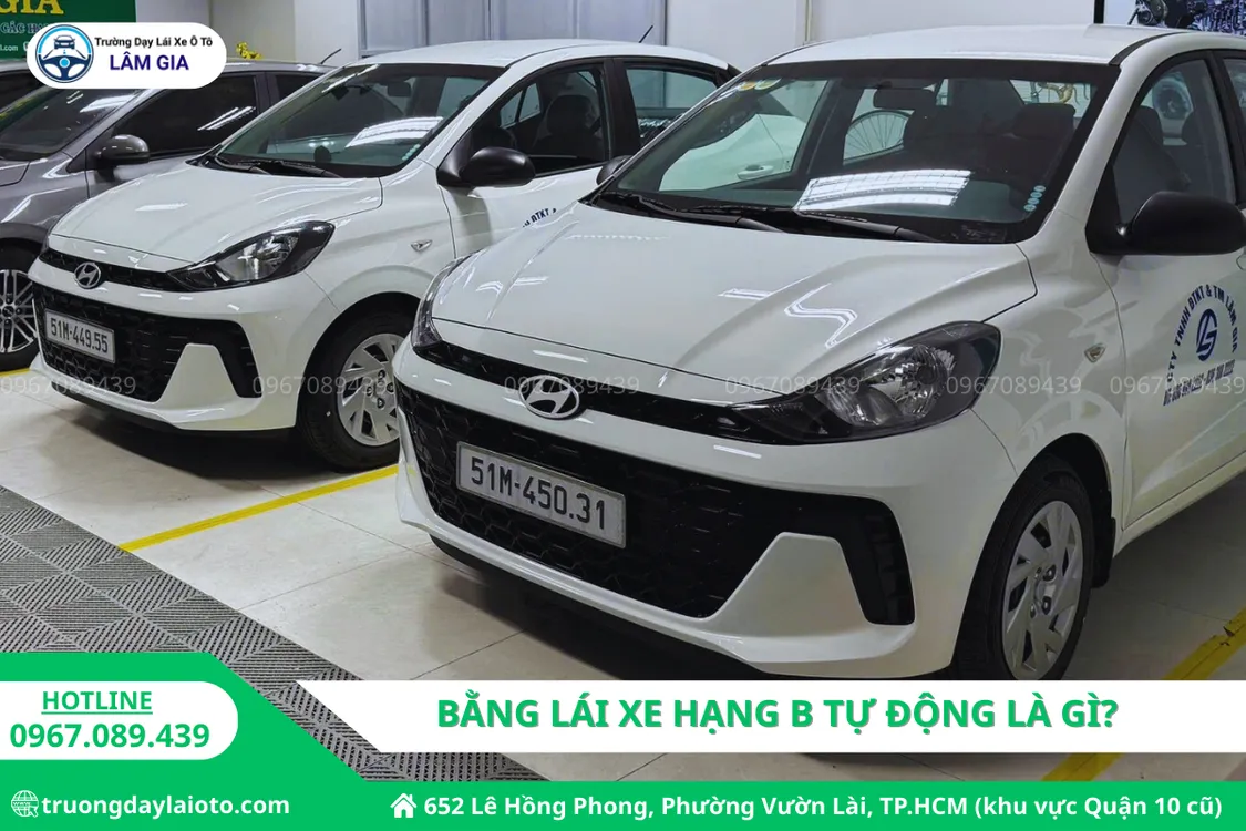 bằng lái xe hạng B tự động là gì? bằng lái xe hạng b tự động là gì? Trường dạy lái ô tô Lâm Gia